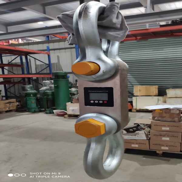 Dynamometer load cell 